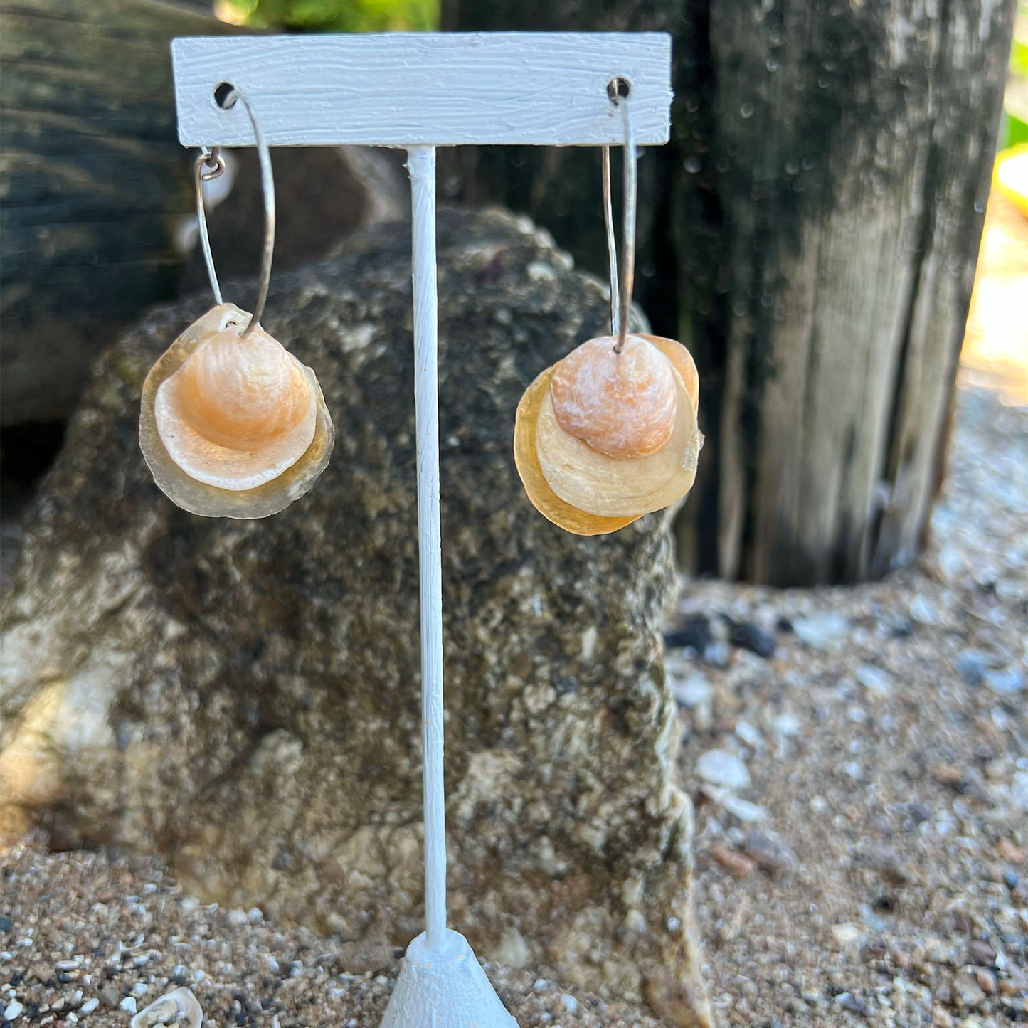 Cove Hoop Earrings